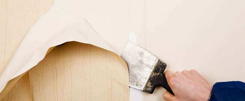 Sarasota Wallpaper Removal